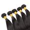 Les cheveux droits brésiliens purs de Vierge de 100% empaquettent l'extension de cheveux de vison fournisseur