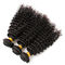les cheveux 9A bouclés frisés naturels empaquettent des prolongements dessinés par double de cheveux de trame fournisseur