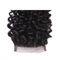 Les cheveux bouclés frisés brésiliens de Vierge de fermeture de la dentelle 4x4 empaquettent pour la femme de couleur fournisseur