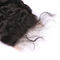 Non longueur moyenne de fermeture de dentelle de la Vierge 4x4 de cheveux de Remy avec le ′ de 10 ′ - pouce de ′ de 20 ′ fournisseur