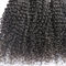 Les cheveux brésiliens purs bouclés frisés de Vierge d'Afro humain non-traité de cheveux empaquettent la couleur naturelle fournisseur