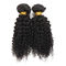 Évaluez les cheveux bouclés de Vierge de paquets brésiliens des cheveux 8A onduleux de la jeune fille fournisseur