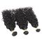Cheveux brésiliens non-traités de vague d'eau 100, paquets noirs naturels de cheveux bouclés  fournisseur