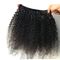 cheveux bouclés frisés de Vierge de la catégorie 7A d'Afro péruvien humain non-traité de cheveux pour des femmes de couleur fournisseur