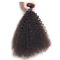 cheveux bouclés frisés de Vierge de la catégorie 7A d'Afro péruvien humain non-traité de cheveux pour des femmes de couleur fournisseur