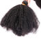 Les cheveux bouclés frisés d'Afro humain péruvien empaquettent la couleur naturelle aucune odeur chimique fournisseur