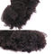 Les cheveux bouclés frisés d'Afro humain péruvien empaquettent la couleur naturelle aucune odeur chimique fournisseur