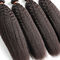 Les cheveux bouclés frisés de Yaki empaquettent des femmes 100 prolongements de cheveux non chimiques fournisseur