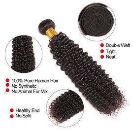 Aucune armure non-traitée bouclée frisée brésilienne de cheveux de Vierge des cheveux 100% d'Afro acide fournisseur
