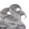 Les paquets indiens de cheveux de Vierge, les cheveux gris d'Ombre empaquette la pleine extrémité de deux tons fournisseur