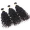 Cheveux brésiliens non-traités de vague d'eau 100, paquets noirs naturels de cheveux bouclés  fournisseur