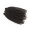 Les cheveux péruviens frisés de Vierge de cheveux bouclés d'Afro empaquettent la pleine densité aucun poux aucun embrouillement fournisseur